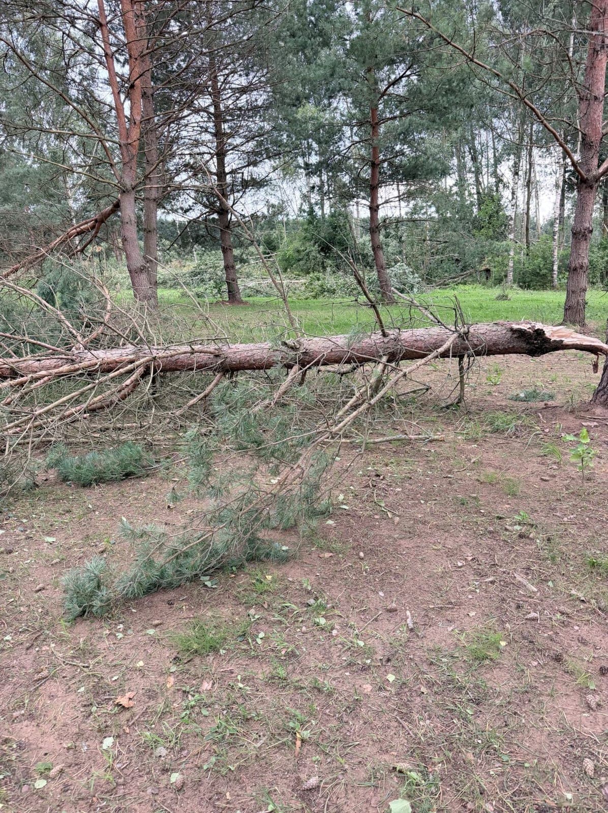 Audros smūgis verslui: kai kurios įmonės be elektros liko beveik savaitei