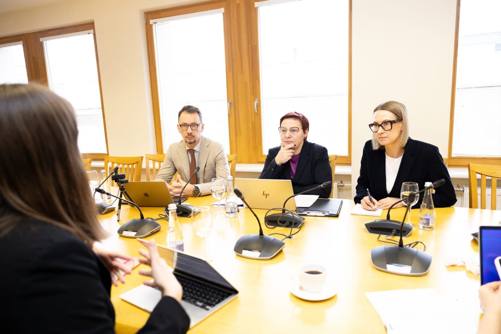 „Meta“ atstovė atvyko į Seimą: Lietuvoje bus „palaiminta“ baudžiamoji atsakomybė už dezinformaciją?