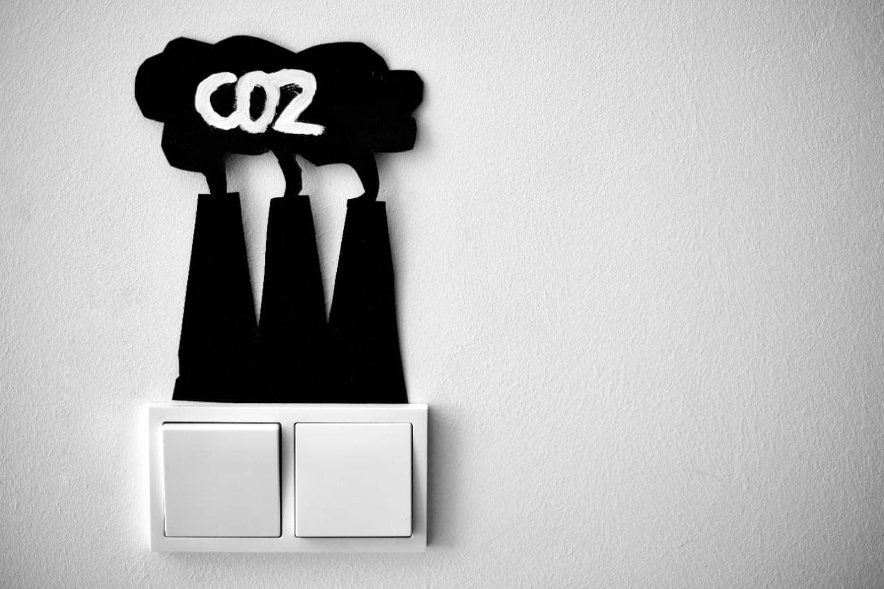 Penas kvailybei: kas išmeta daugiau CO2 – namuose auginamos daržovės, katės ar diedukai?