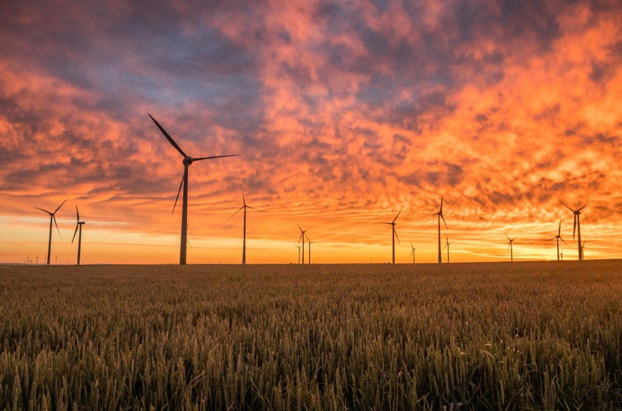 Kiek mums kainuos vėjo parkų elektra?