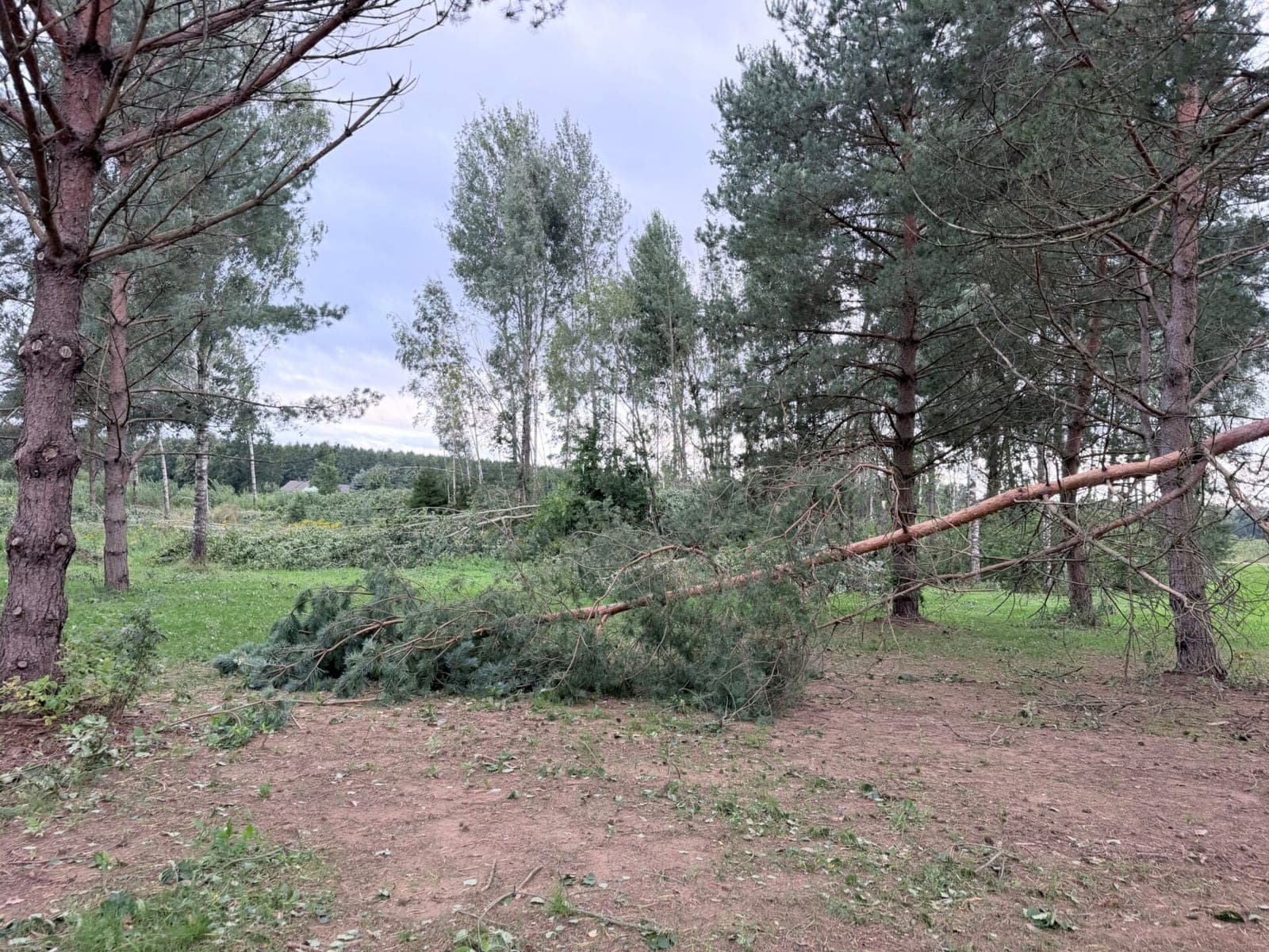 Po audros – rimti pokyčiai: ESO tinklams skirs beveik 66 mln. eurų