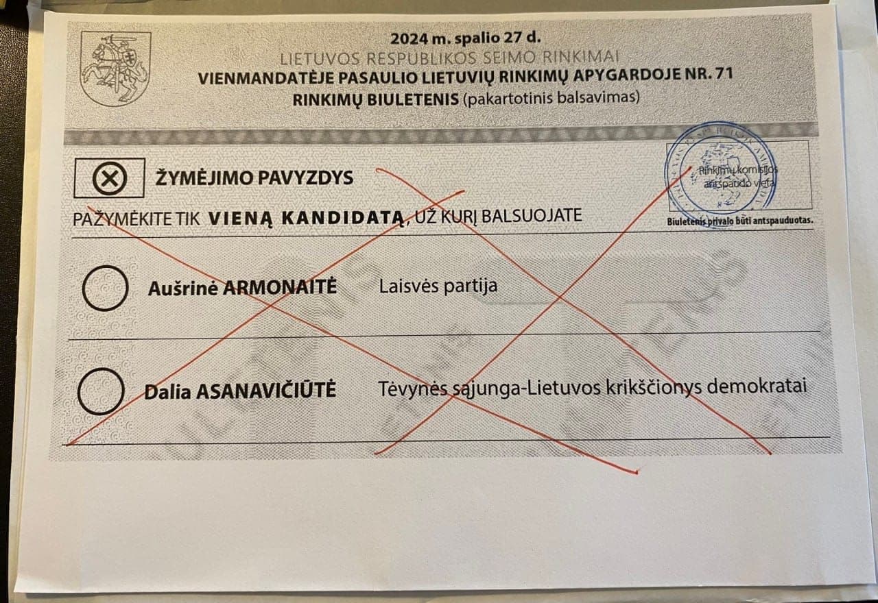 Šokiruojantys skirtumai: užsienyje ir Lietuvoje balsuojantiems – skirtingi biuleteniai