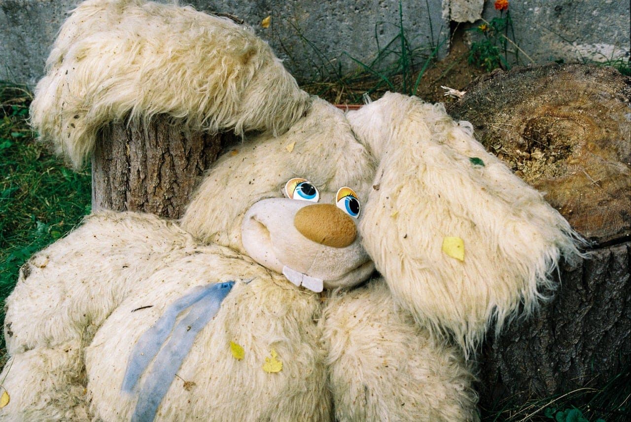 Vestuvės – su lėle, lyties keitimas – prieš visą pasaulį