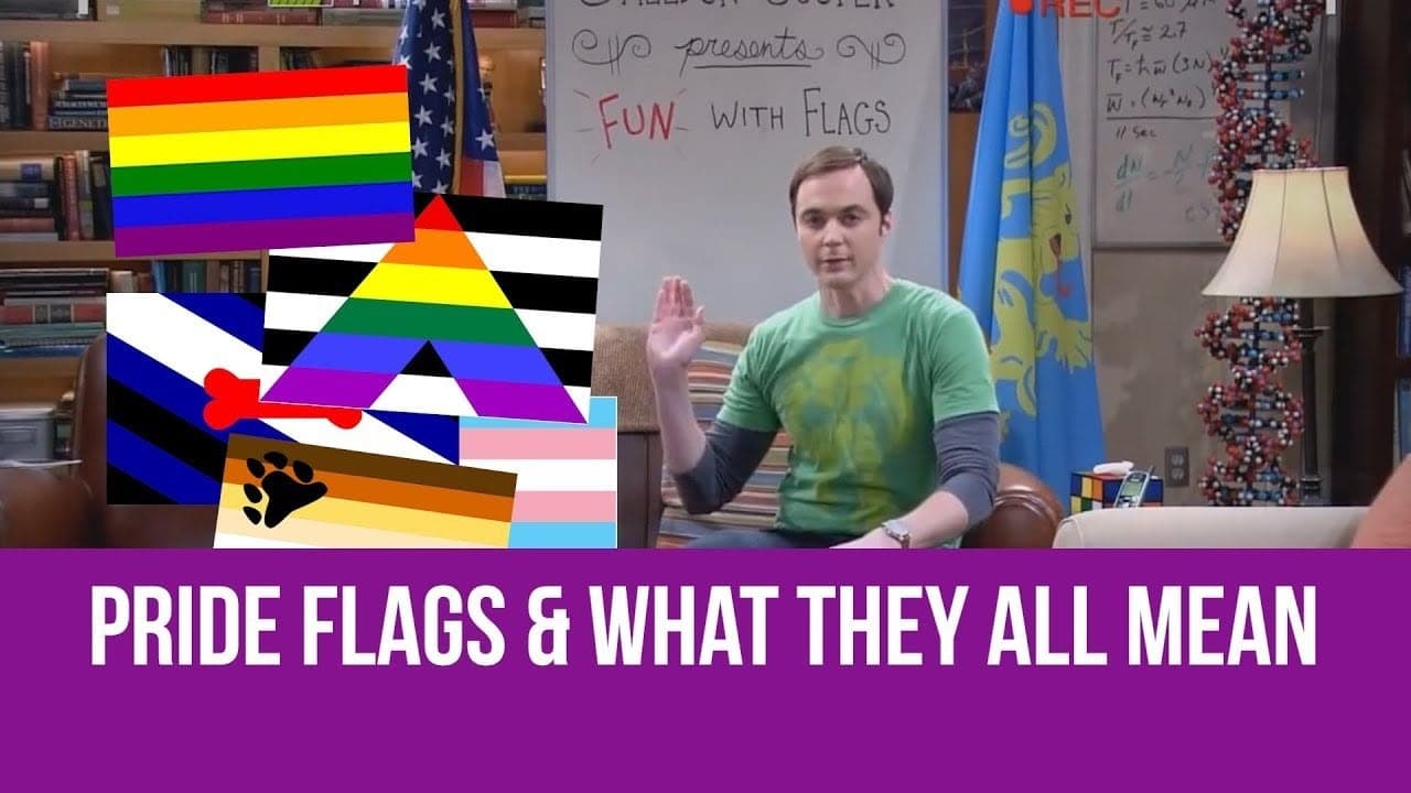 Oficialu: pirmasis JAV miestas uždraudė LGBT vėliavas