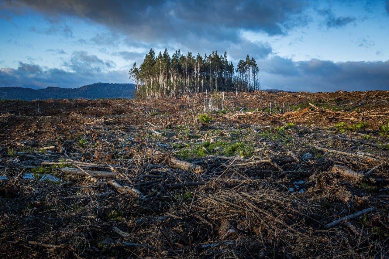 Susitikime dėl klimato kaitos susitarta dėl nuostolių fondo: kas atvers pinigines?