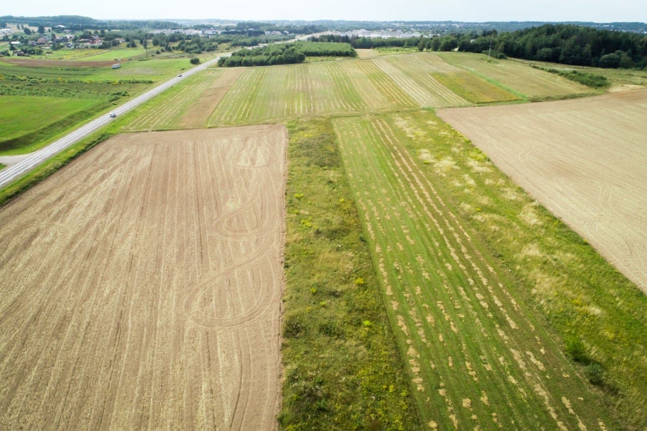 Pinigų imta trūkti net turtingoms šalims: štai kiek uždirba šveicarai