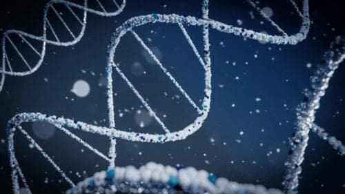 Cas9 baltymas ne tik kerpa DNR: VU mokslininkai atrado naują CRISPR-Cas genų žirklių funkciją