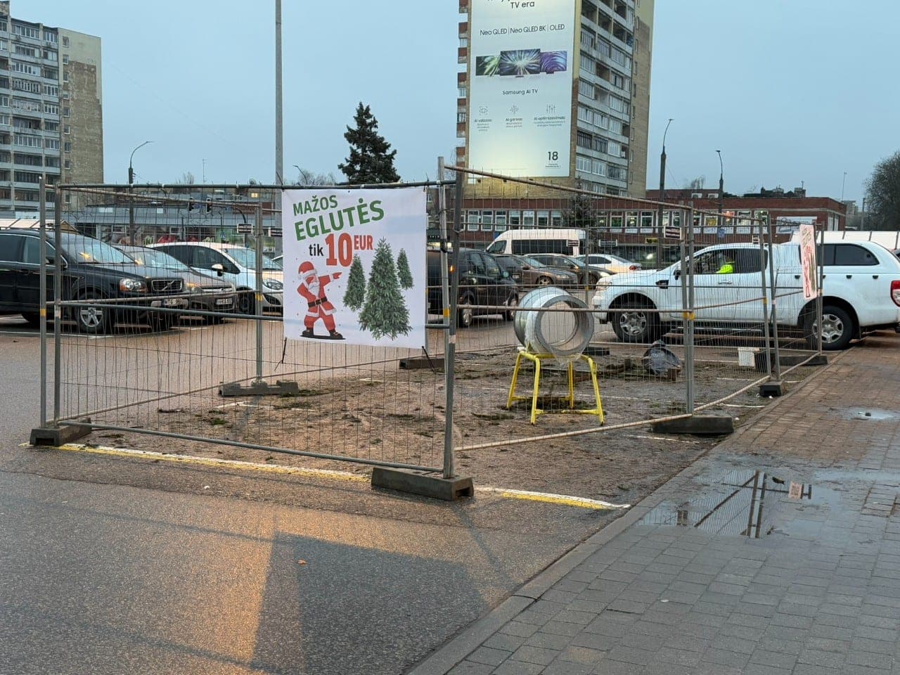 Miškininkai pataria: kaip po švenčių elgtis su kalėdiniu medeliu?