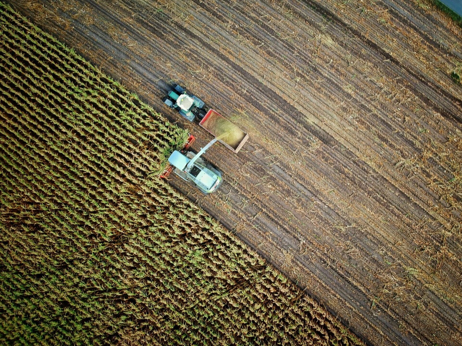 ES anglies mokestis importui keičia trąšų rinką: kokių pasekmių sulauks Lietuva?