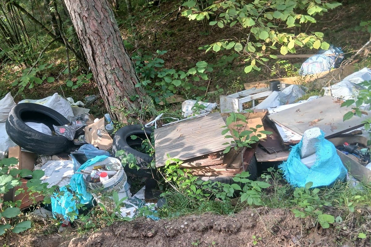Trakų ir Kaišiadorių miškuose palikta apie 3 tonos atliekų: visi pažeidėjai nustatyti
