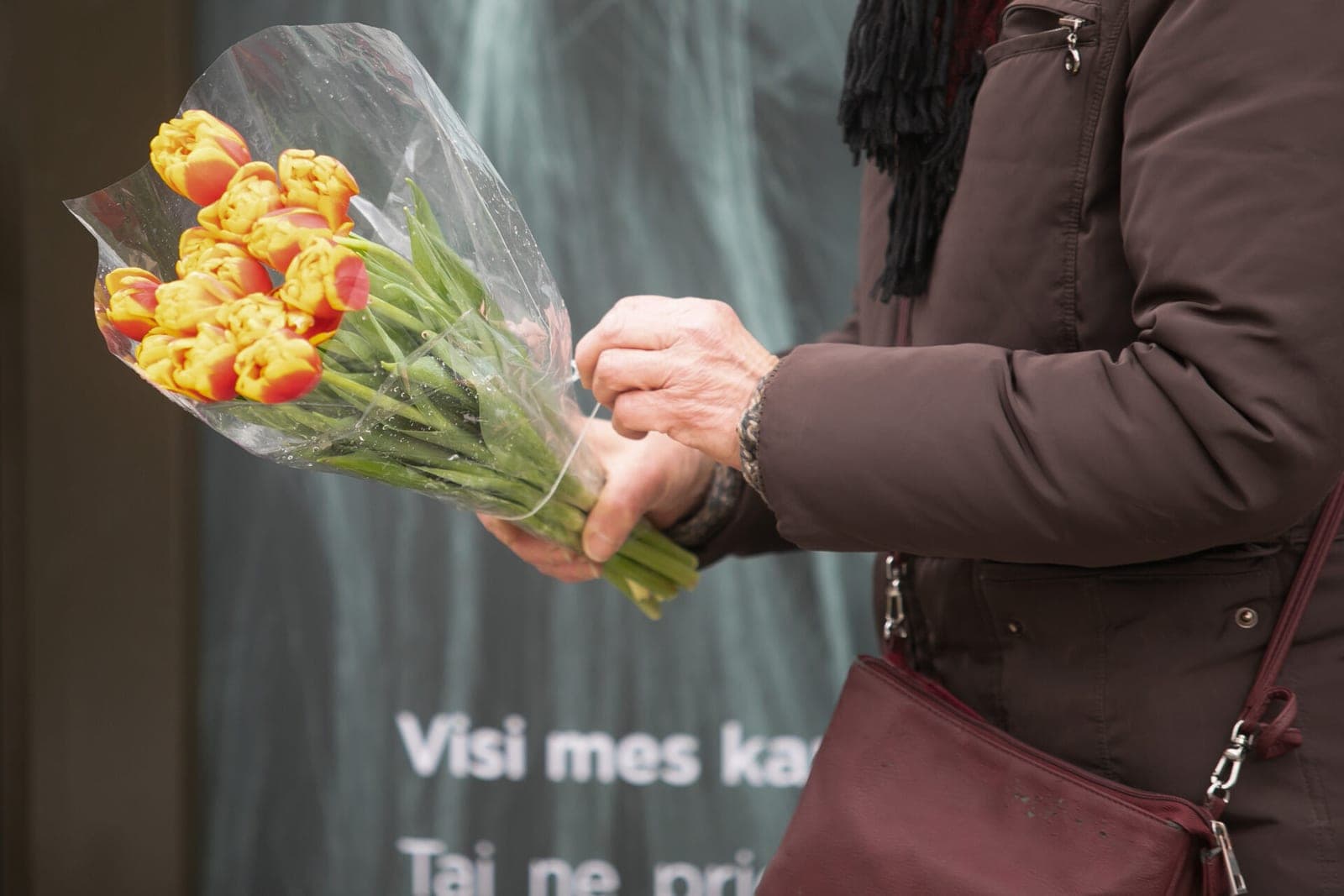 Įžymios Lietuvos moterys, kurias turite žinoti