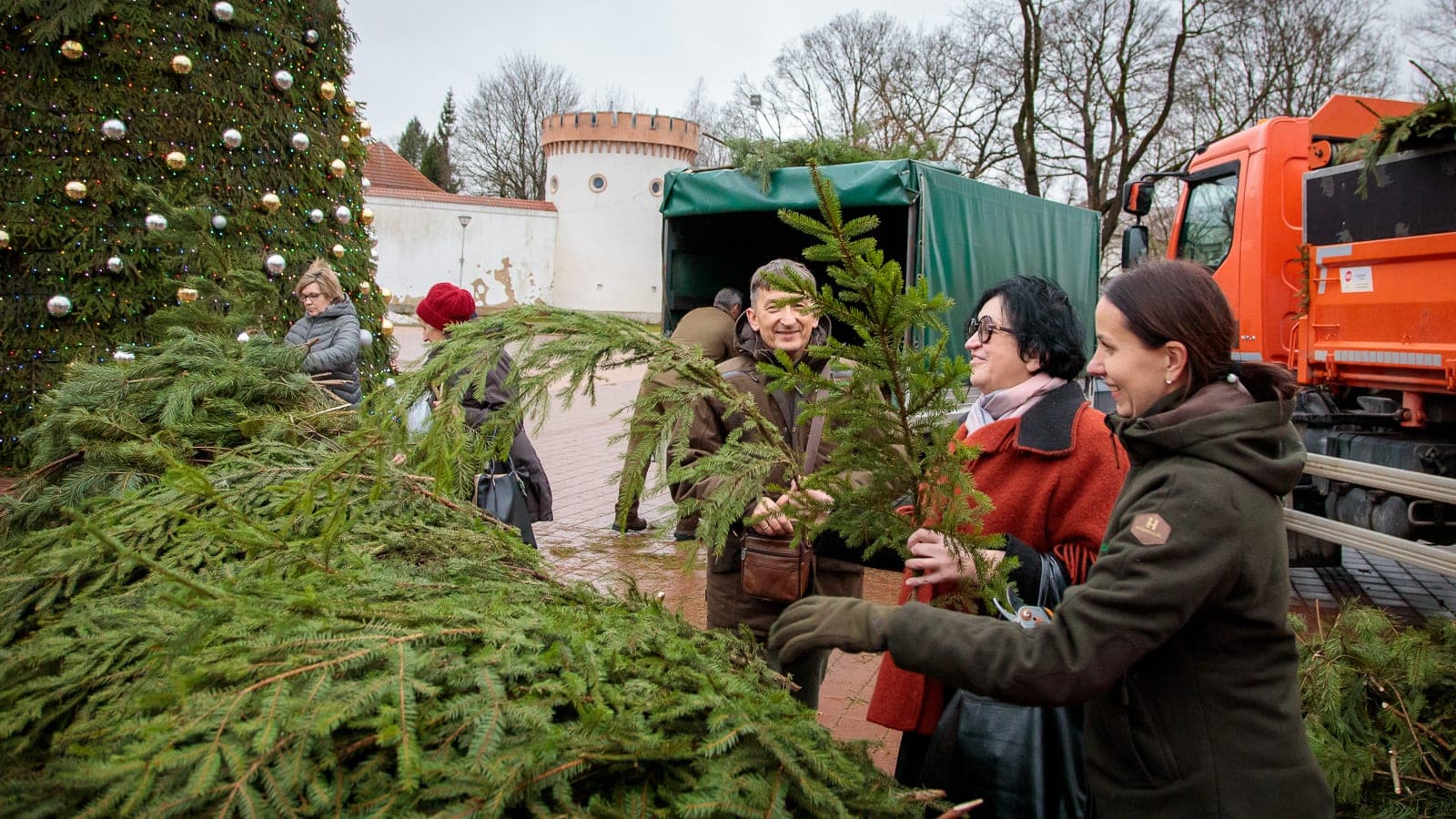 Kalėdų tradicija tęsiasi: miškininkai nemokamai dalins eglių ir pušų šakas