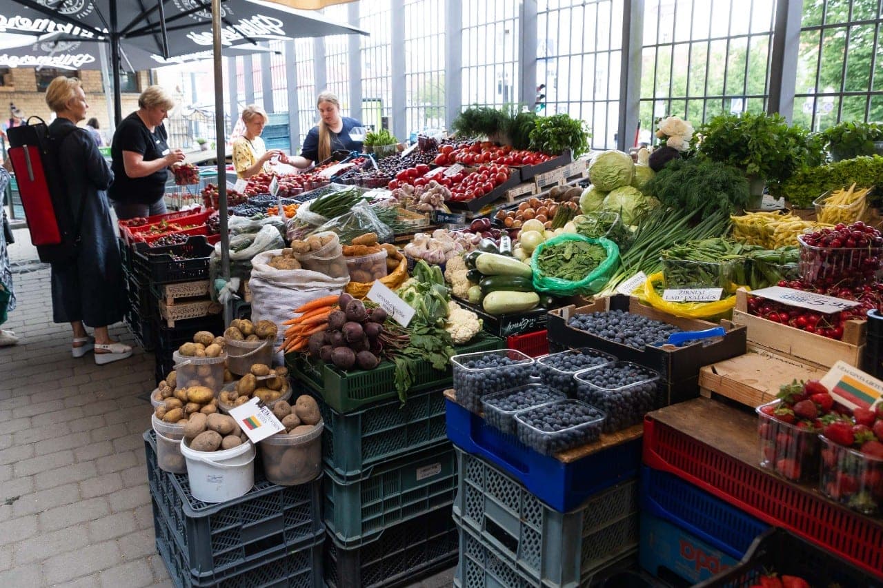 ES vyriausybės artėja prie GMO reguliavimo panaikinimo