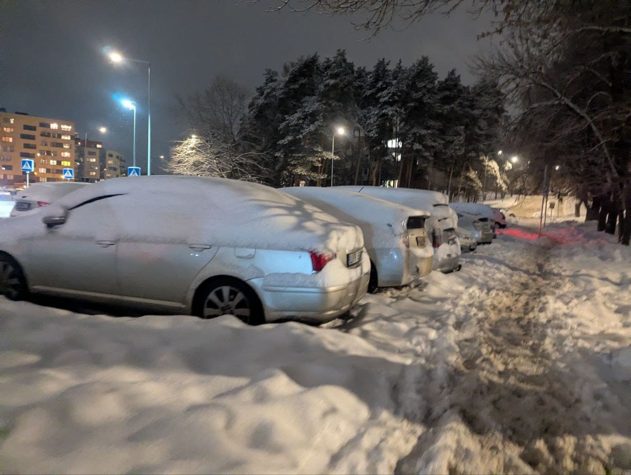 Gyventojai naktį fiksavo ir –37 laipsnius, tačiau meteorologai įspėja: ne visi matavimai patikimi
