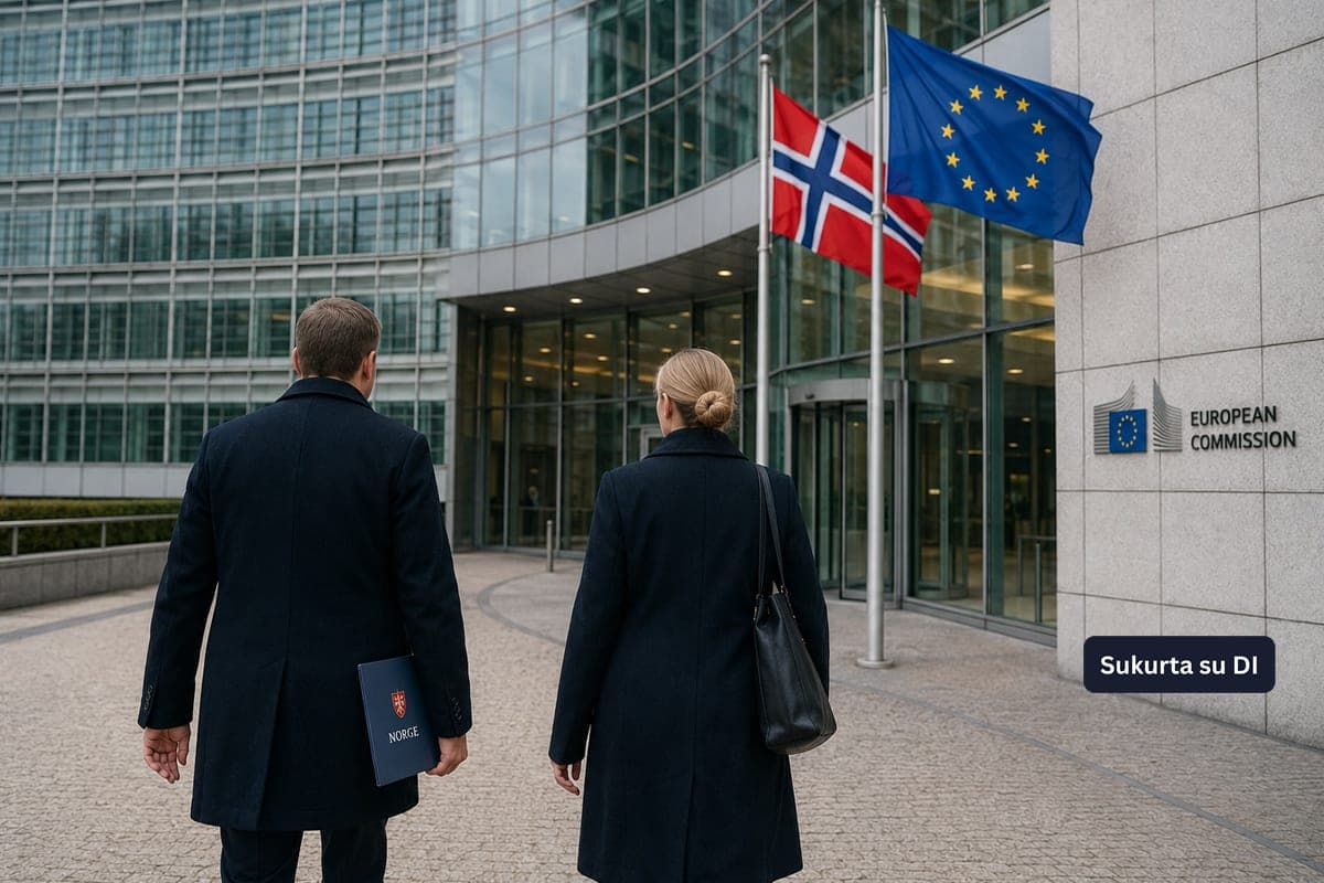 Islandija svarsto grįžimą prie ES derybų: ką jos sprendimas reikštų Norvegijai?