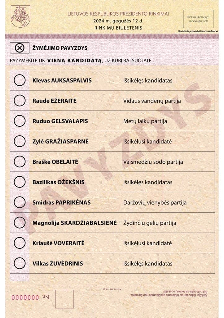 Iki prezidento rinkimų liko 99 dienos: skelbiamas balsavimo biuletenio pavyzdys