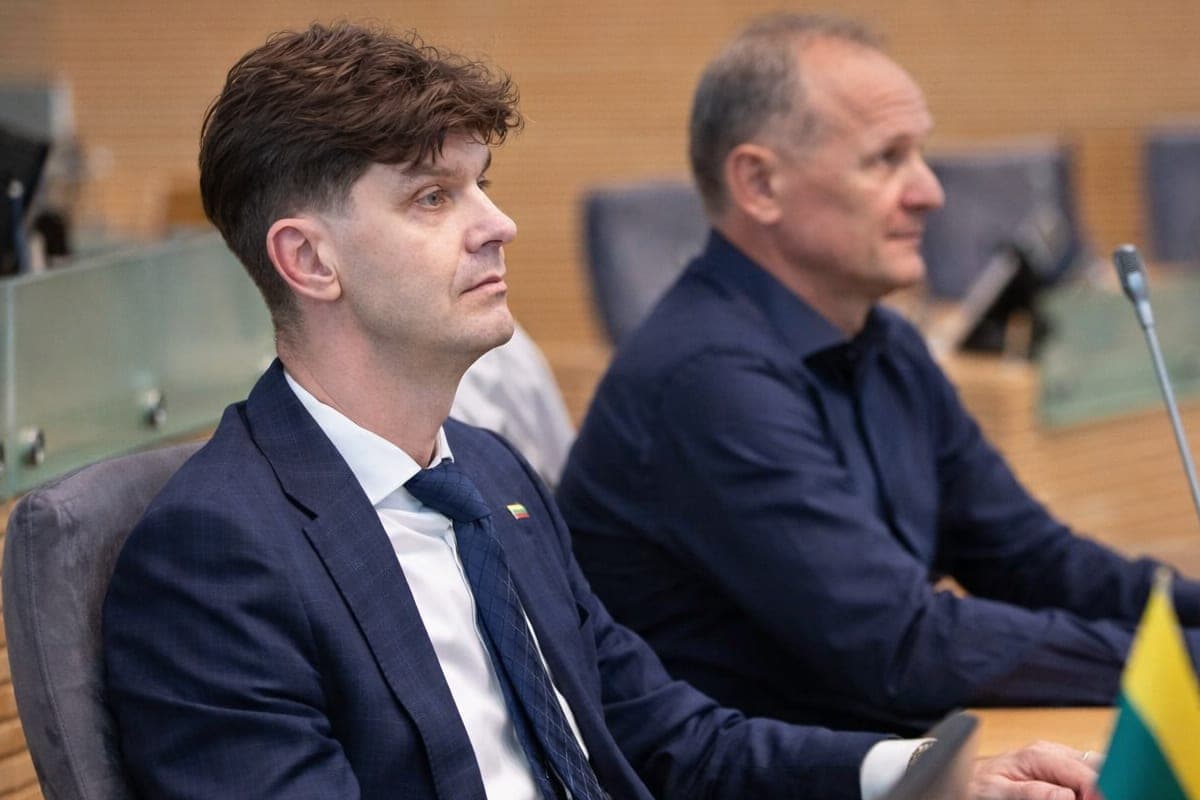 I. Vėgėlė kreipiasi į internautus: kviečia siūlyti pavadinimą naujai partijai