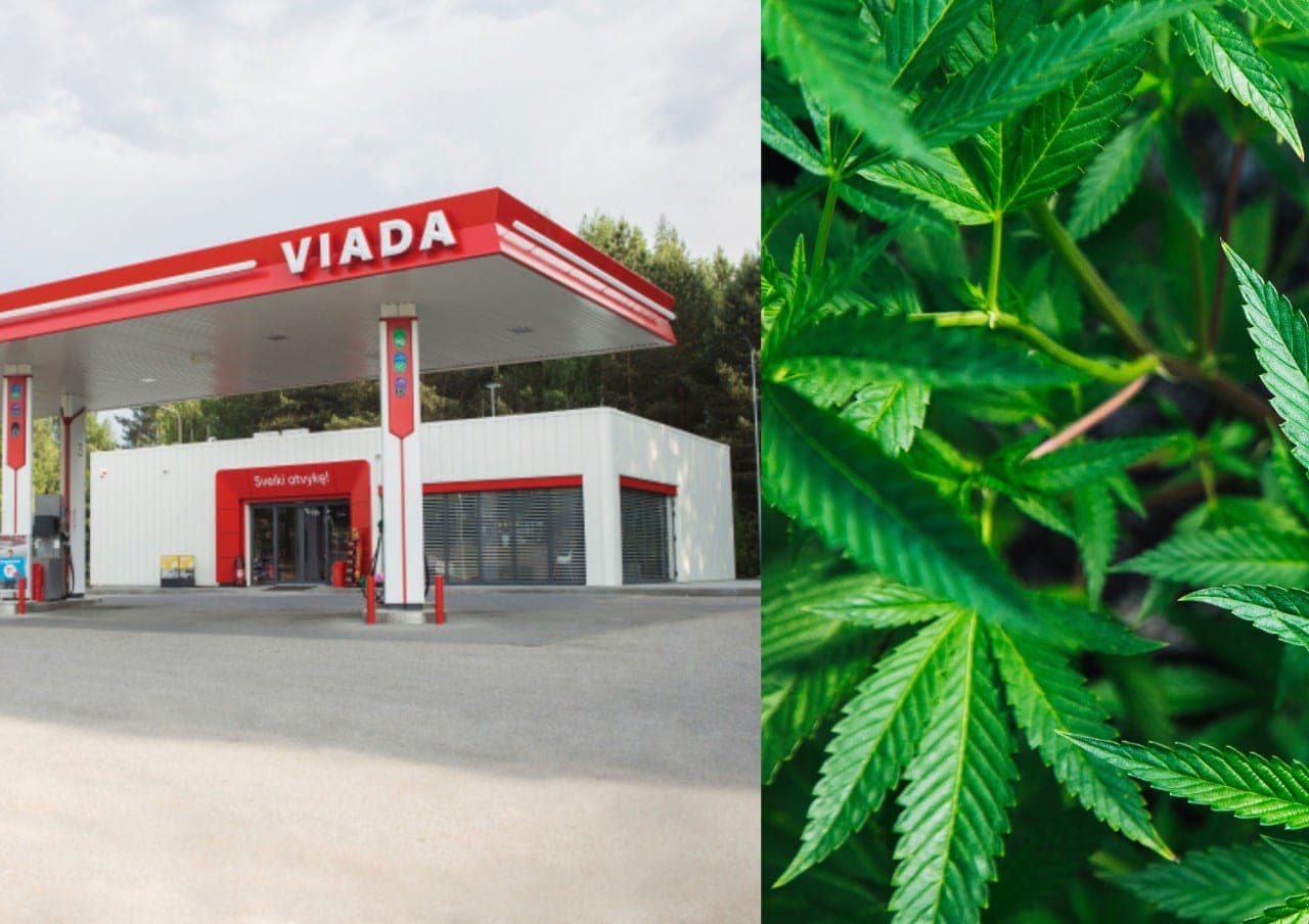 Viada degalinių tinklas nubaustas už prekybą kanapių žiedų suktinėmis