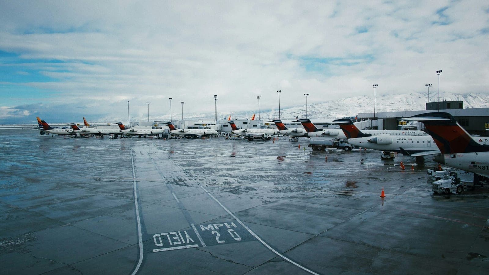 Lietuvos oro uostų aukcionas: ieškantiems sklypo ar „Belarus“ traktoriaus