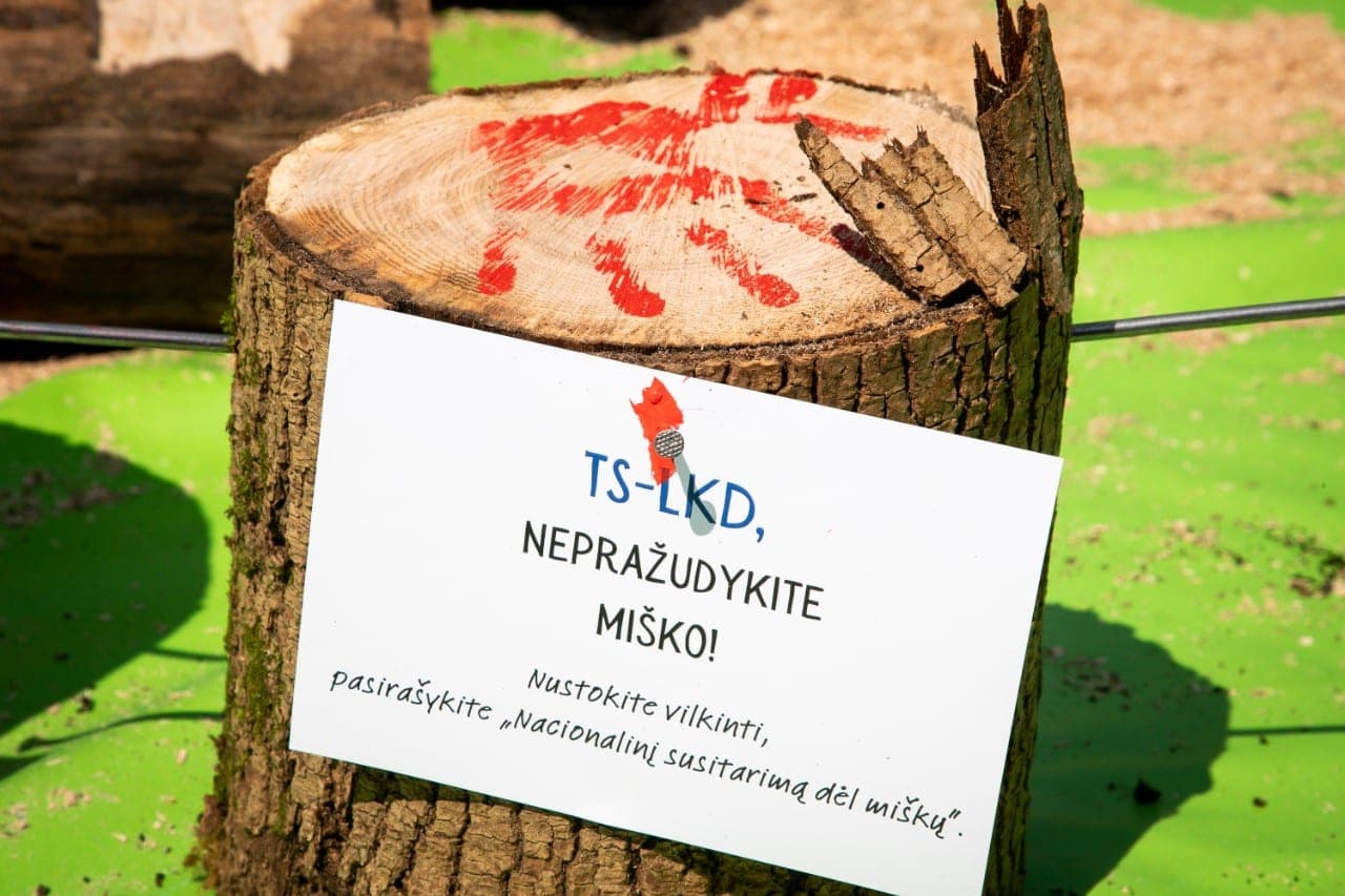 Nei vieno darbuotojo neturinti miškų kirtimo įmonė uždirbo 30 milijonų eurų