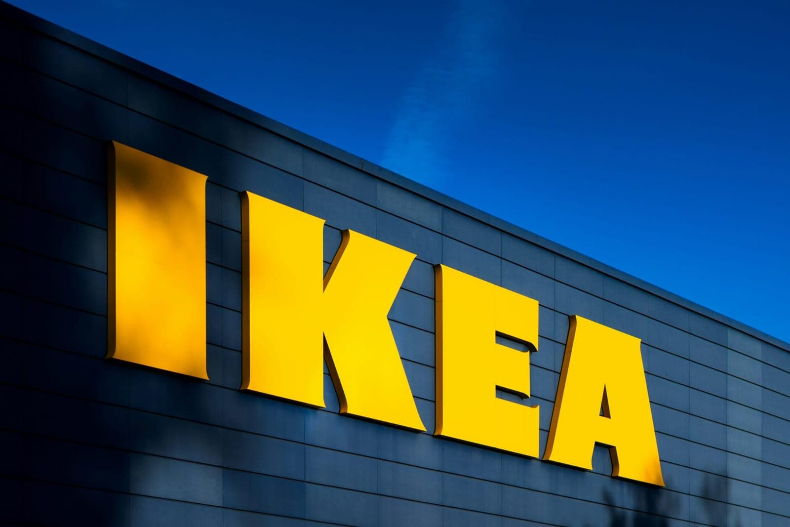 Įsibėgėję „IKEA“ miškų kirtimai: kompanijos elgesiu piktinasi ne tik Lietuva