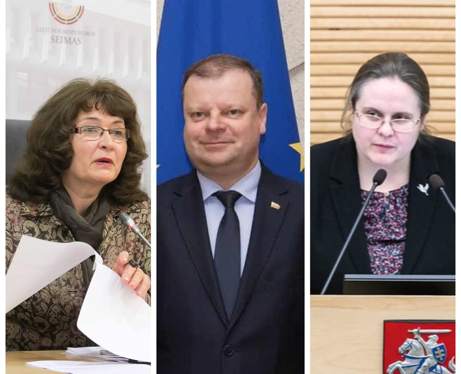 A. Širinskienė nori jungtis prie S. Skvernelio gretų, tačiau partiečiai purtosi: niekas jos nepageidauja