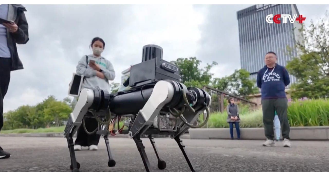Kinijos robotai virsta šunimis-vedliais: silpnaregiams bus gyventi geriau?