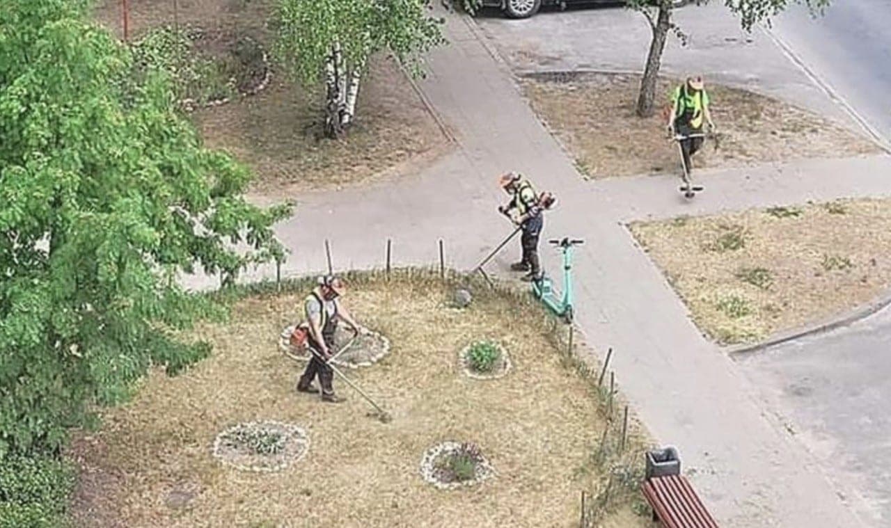 Vilnius vėl žiba: prieš tai pjovę neaugančią žolę, dabar pjauna šieną