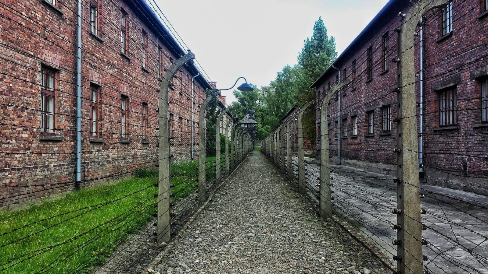 Pavojingiausių vabzdžių mirtini įkandimai: Džordžijoje blakės sudorojo gyvą kalinį