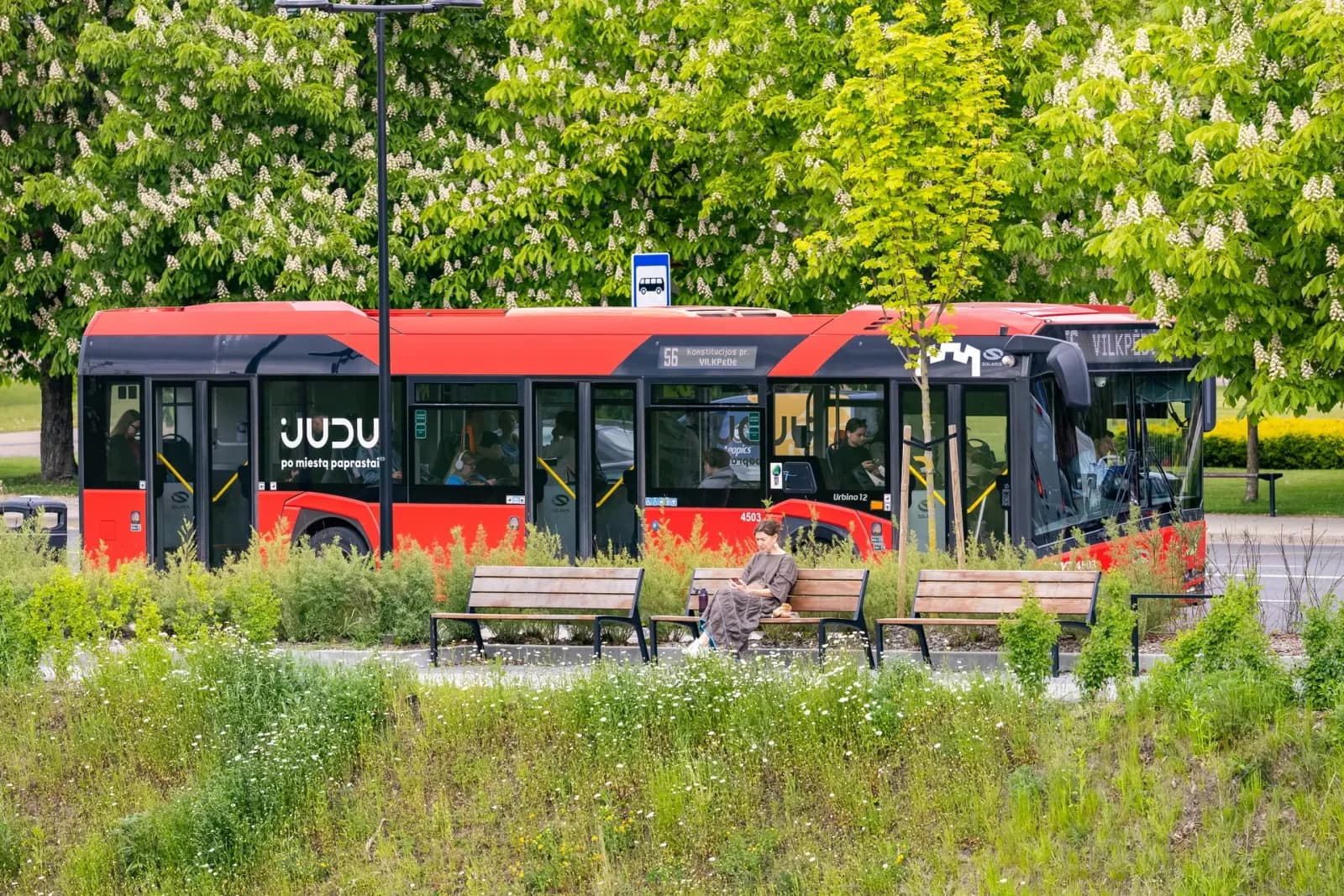 Pakilus PVM, brangsta kelionės viešuoju transportu