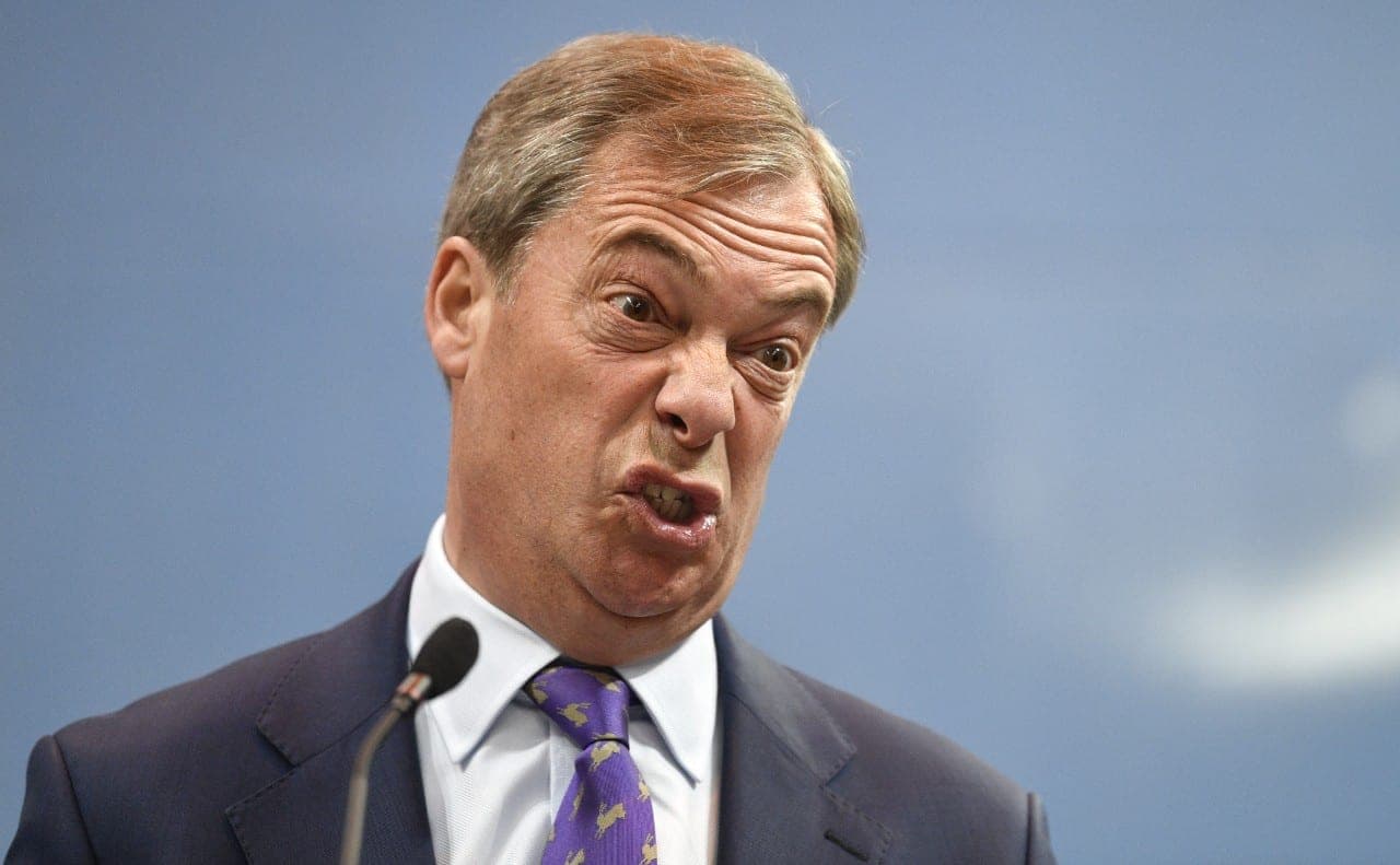 E. Muskas žada finansuoti euroskeptiko N. Farage'o partiją