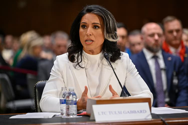 T. Gabbard atima saugumo leidimus iš 37 JAV žvalgybos pareigūnų