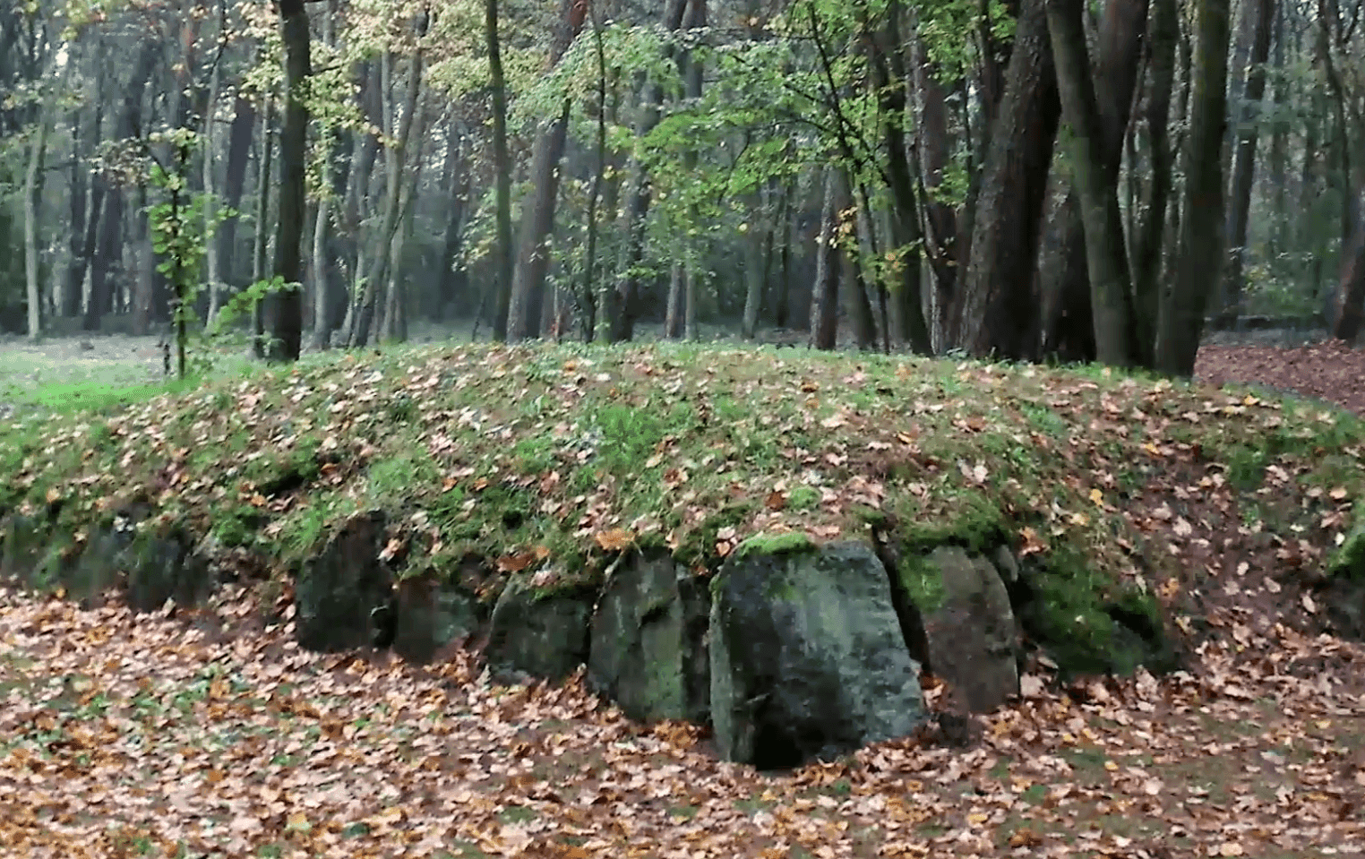 Lenkijoje atrastos „piramidės“ – 5 500 metų senumo kapai sužadina Europą