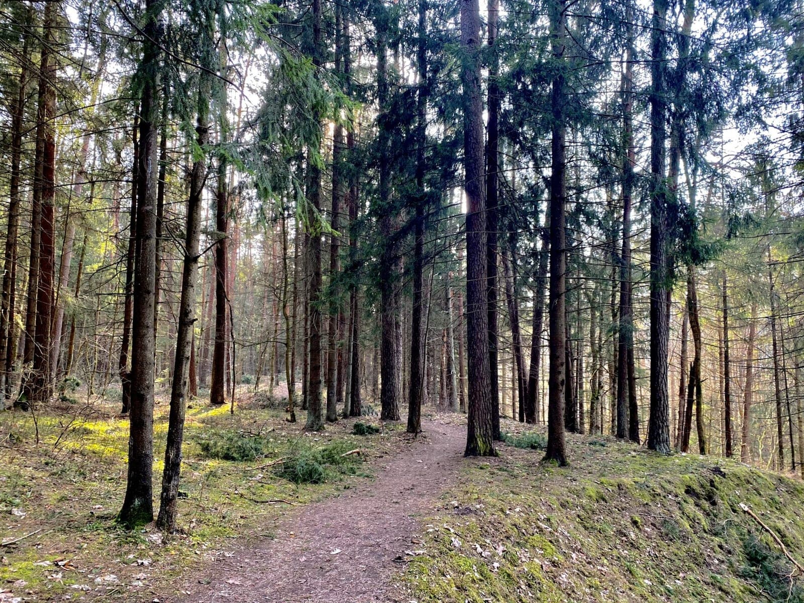 Keliaujame po Anykščius: ką pamatyti?