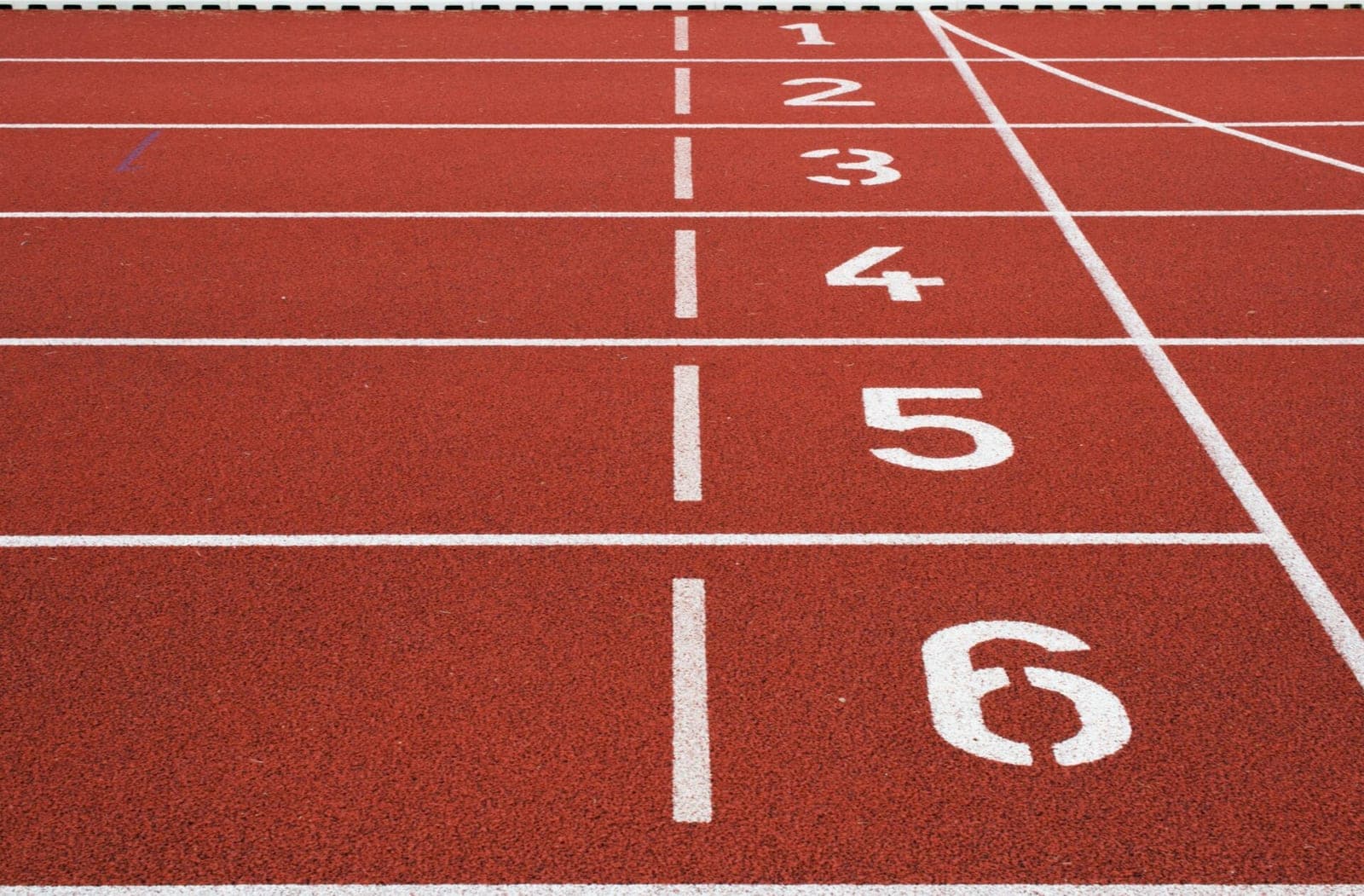 Lietuvos sporto universiteto garbės daktaro vardas suteiktas A. Saboniui ir V. Makūnui