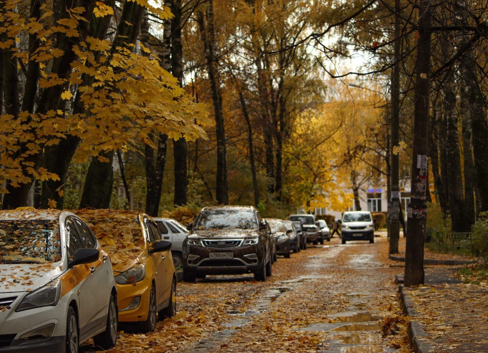 Bėdos dėl automobilių: sunku nusipirkti, o raudonus pirkti net pavojinga