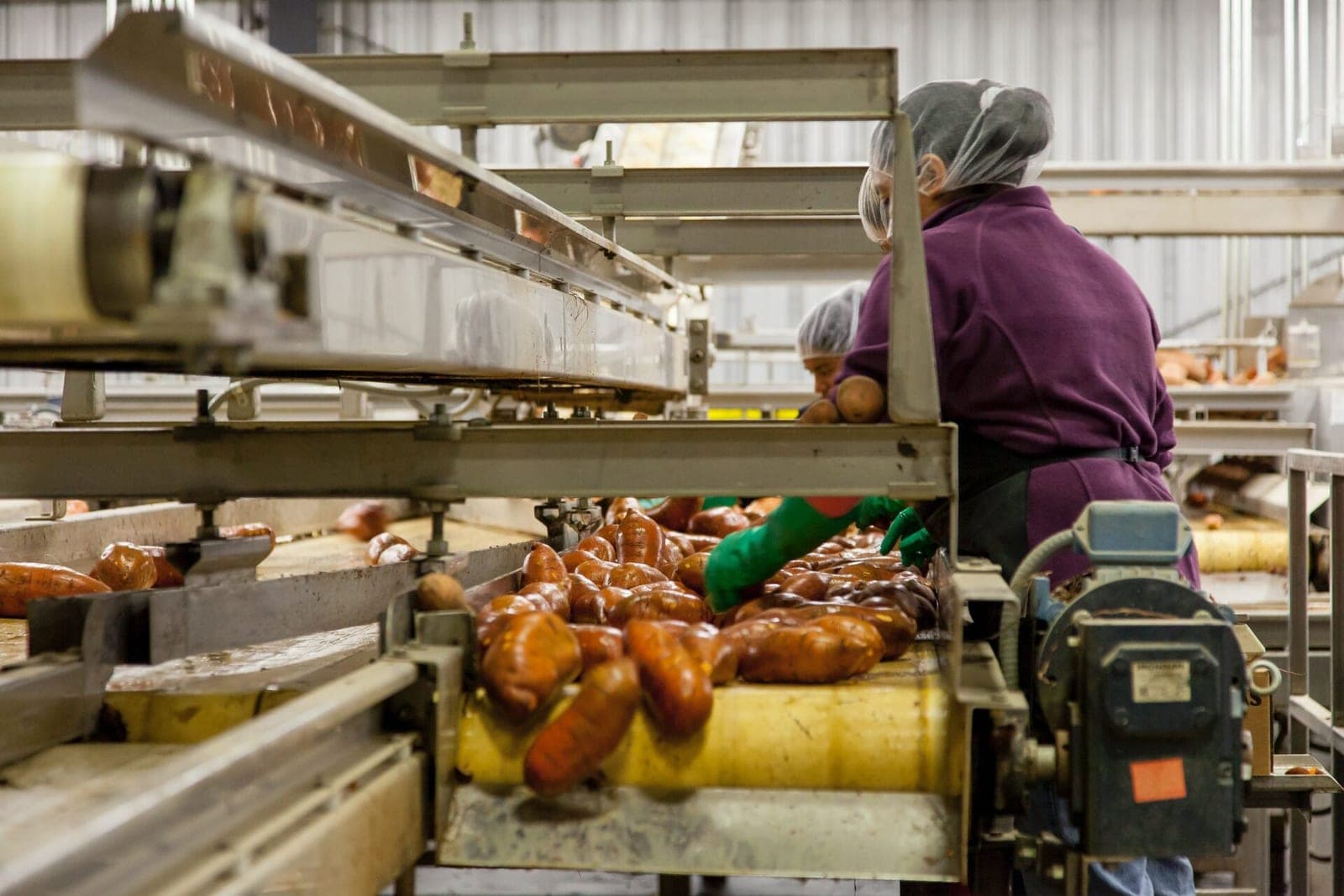 JAV prasta mityba pasiekė kritinį tašką: privalomi perspėjimai apie maisto kokybę