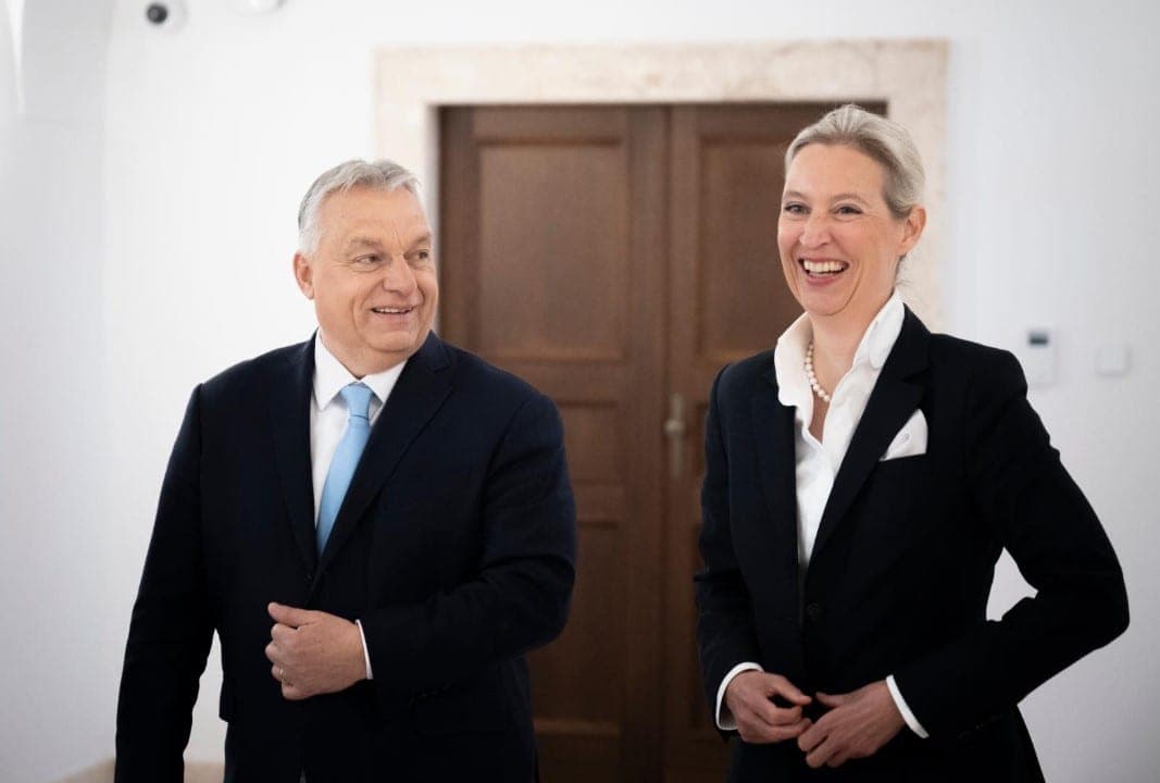AfD lyderė A. Weidel Vengrijoje susitiko su V. Orbanu
