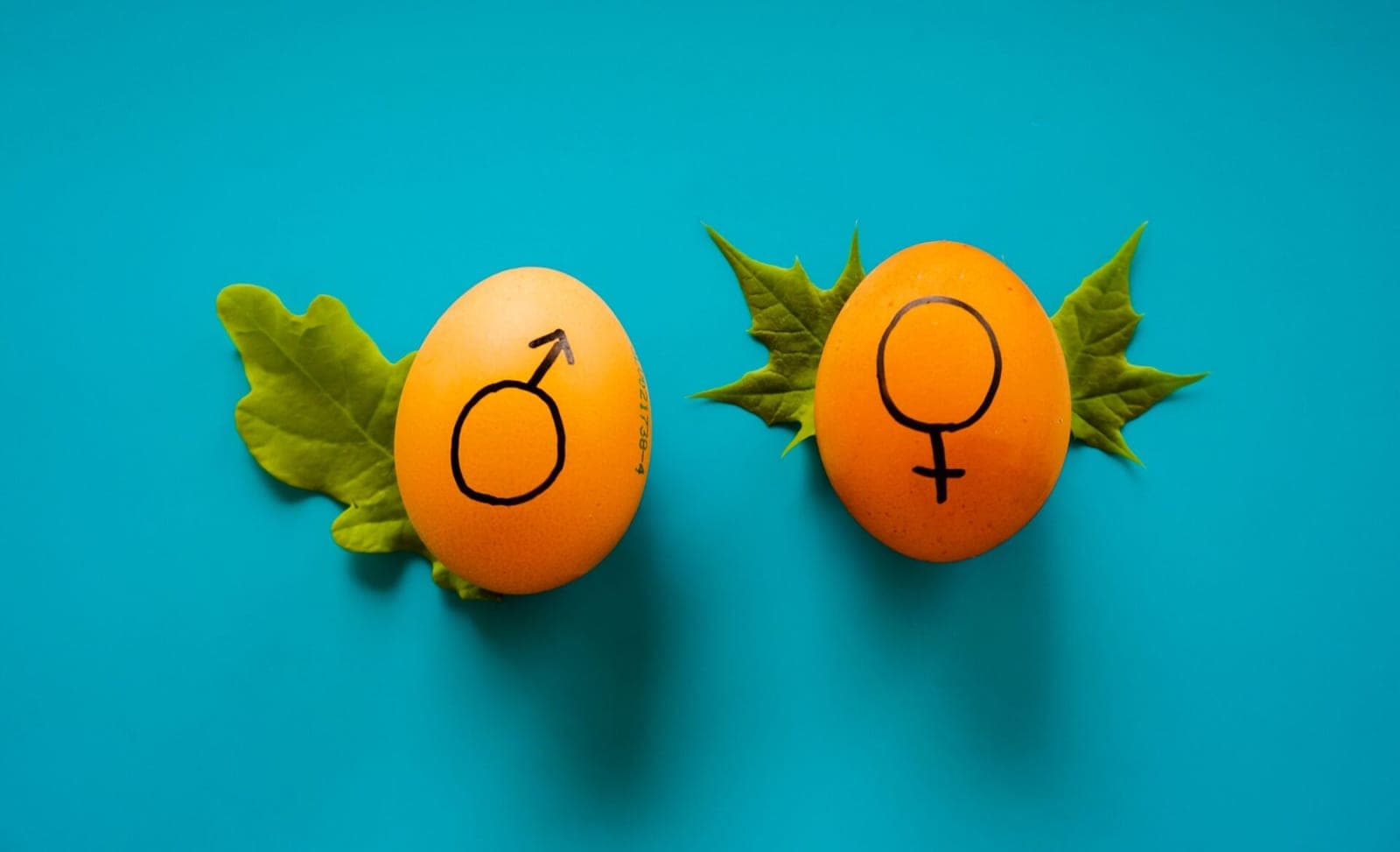 Seksizmas Lietuvoje: lyčių suvienodinimas – tiesus kelias į prarają