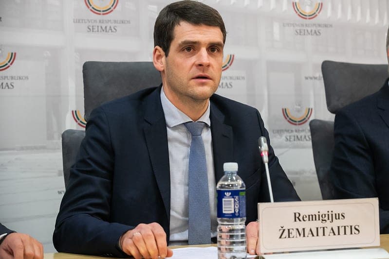 Veidotyros analizė: Remigijus Žemaitaitis