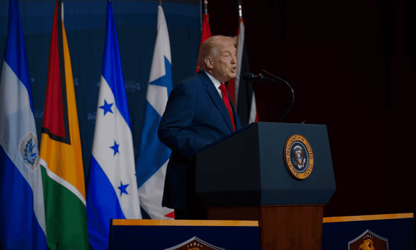 D. Trumpas pašiepė E. Macroną ir jo žmoną: kliuvo ir NATO