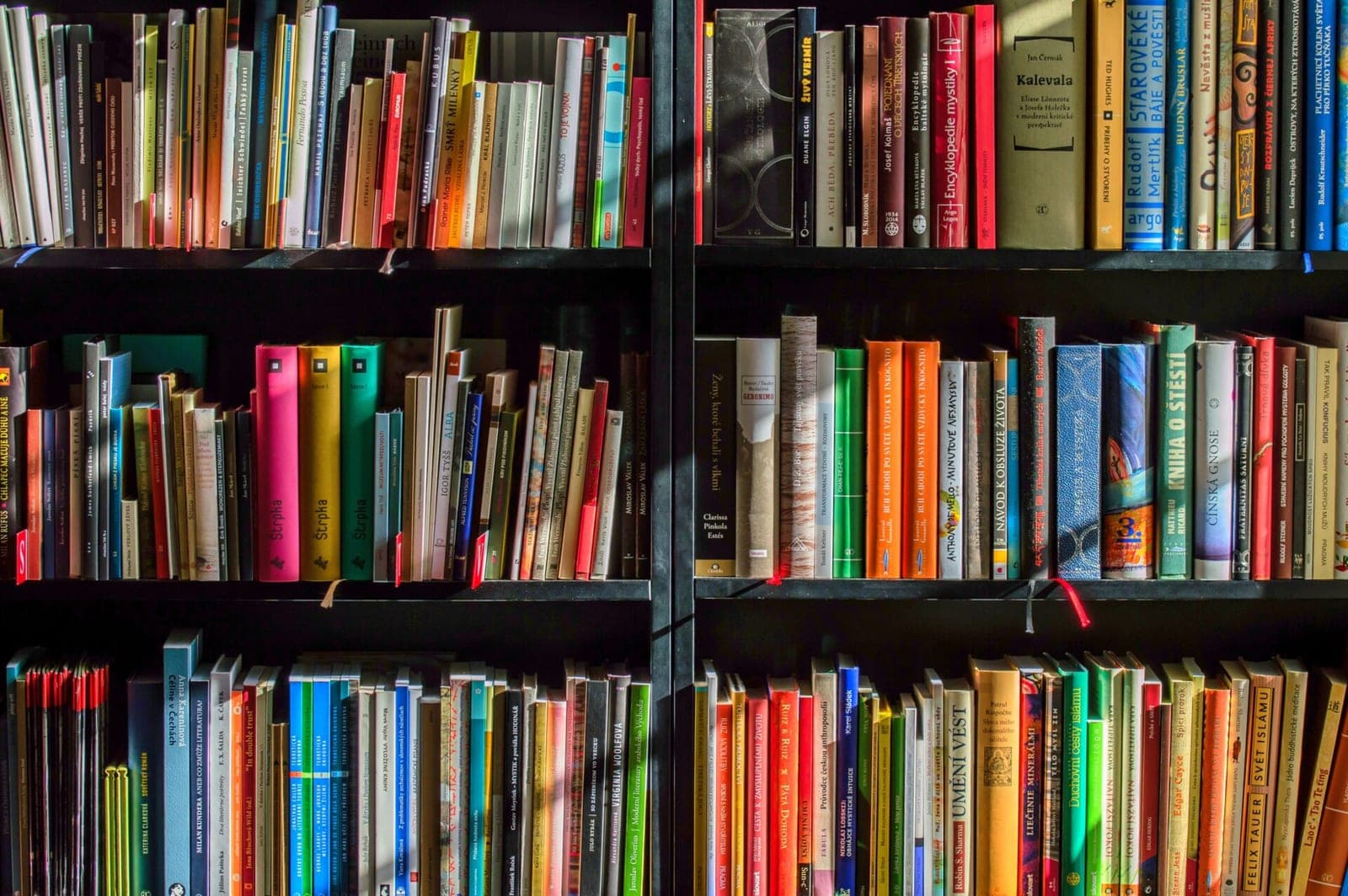 Knygų cenzūra ir bibliotekų tuštėjimas veda link katastrofos?
