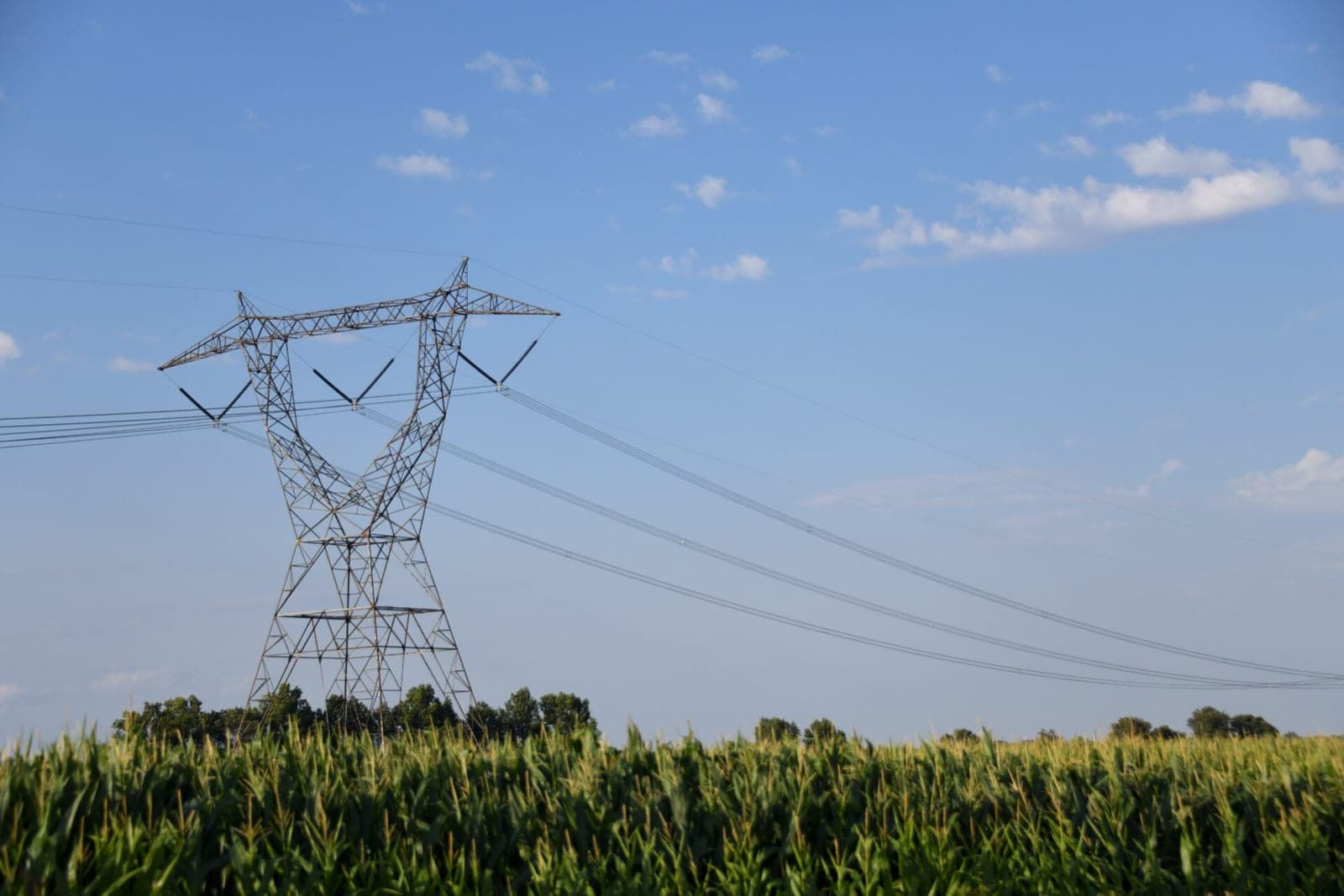 Advokatas I. Vėgėlė įvardino tikrąsias chaoso elektros rinkoje priežastis