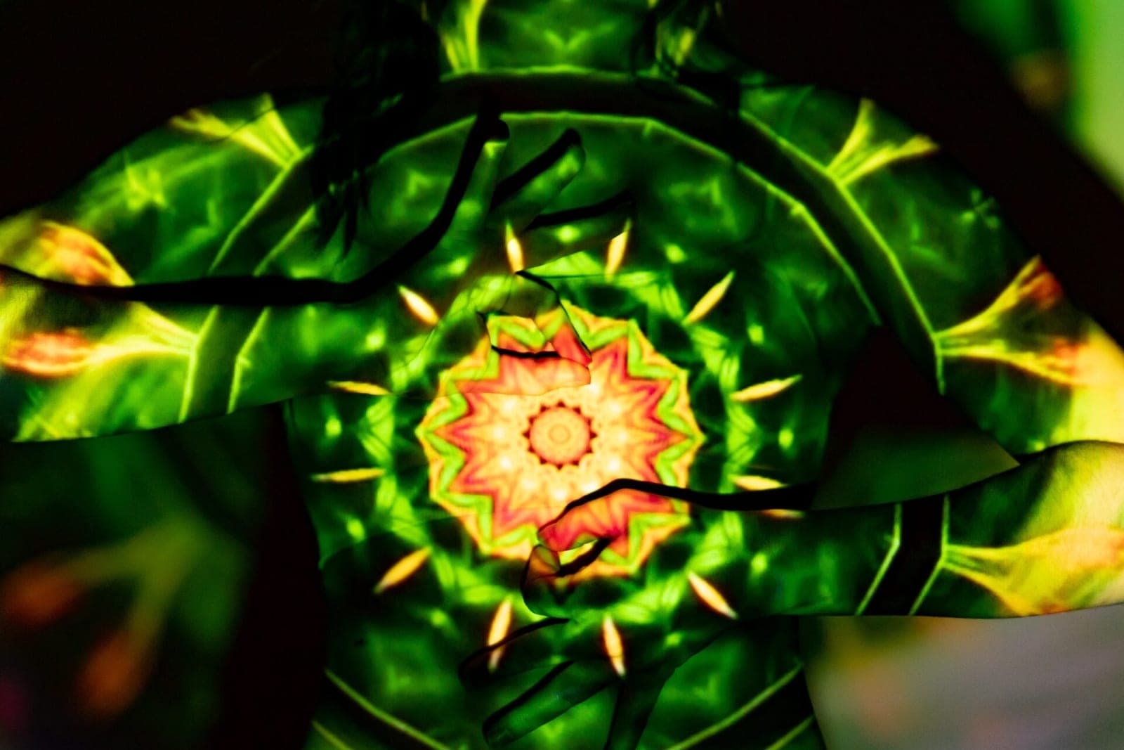 Psichodelinė Ayahuasca terapija: įžymybių pamėgta pramoga ar efektyvus gydymo metodas?