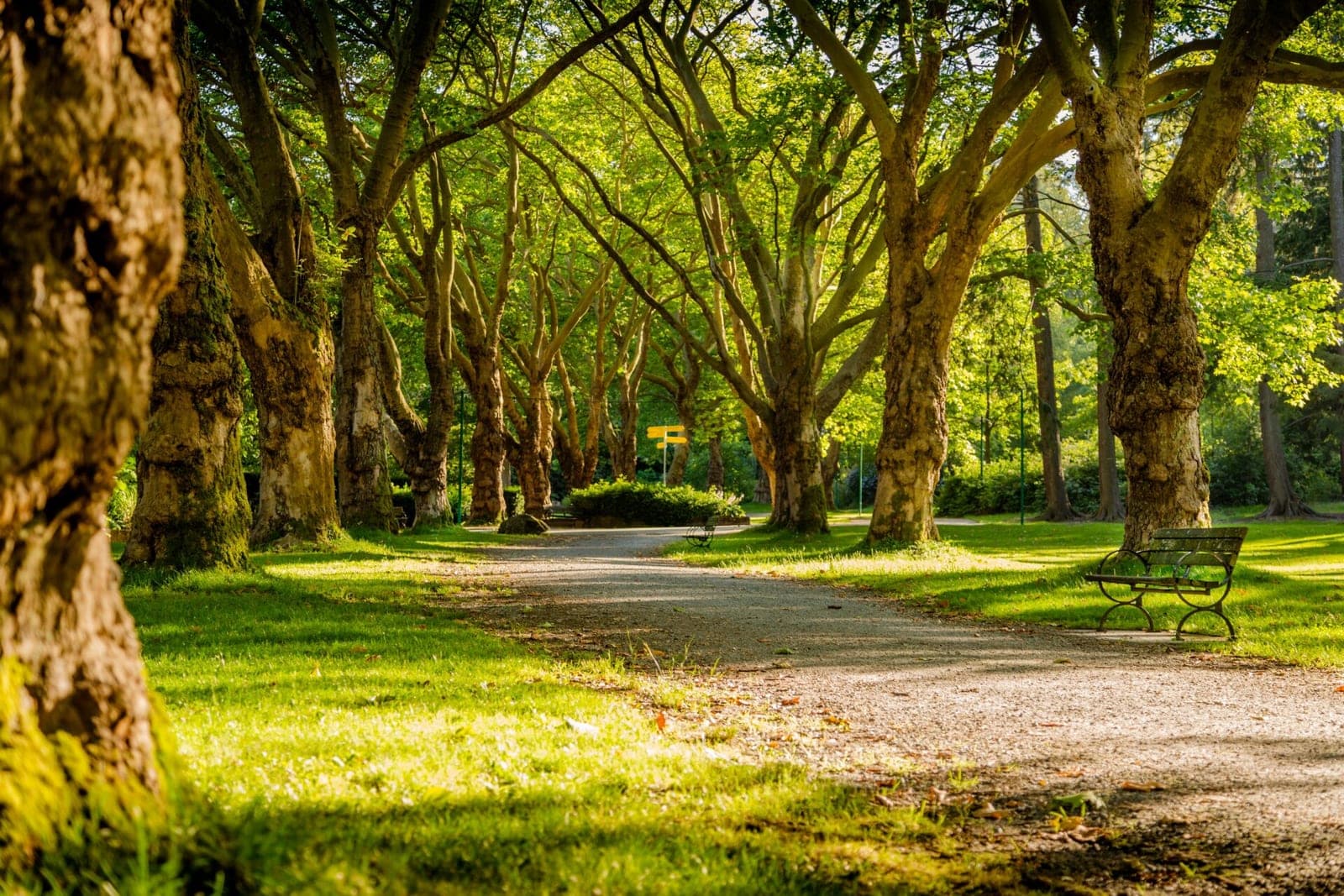 Planuojama įsteigti Suvalkijos nacionalinį parką