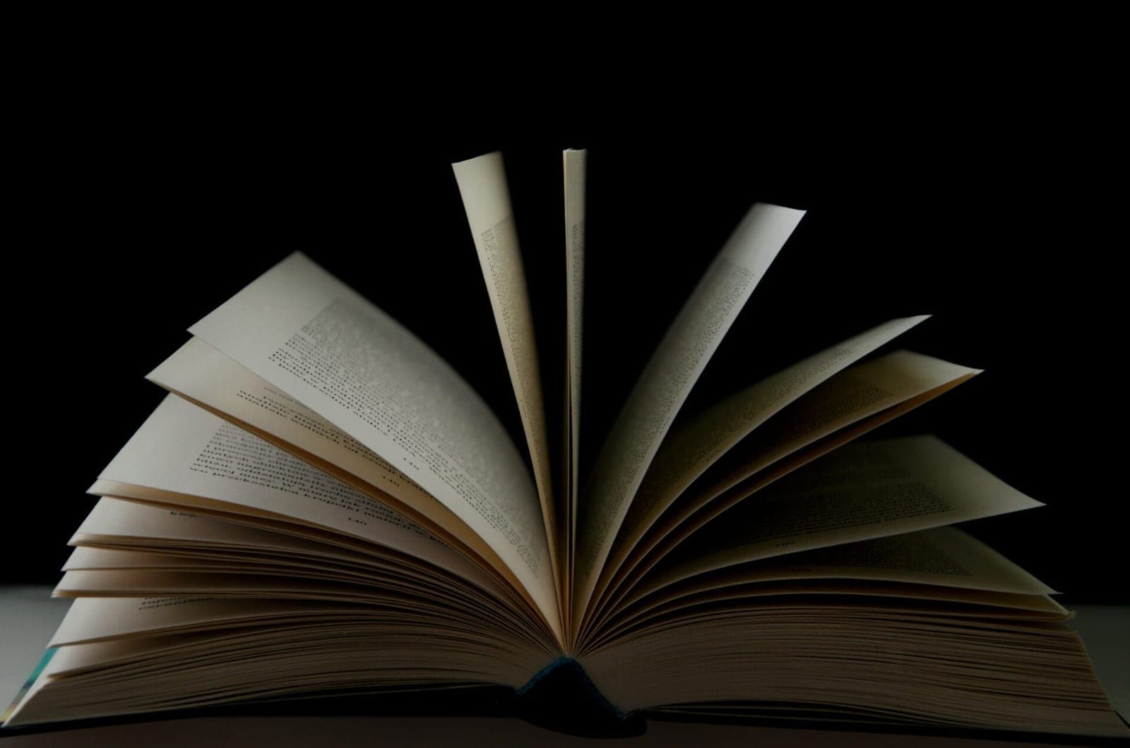 Knygų cenzūra: uždrausta net Biblija ir „Anos Frank dienoraštis