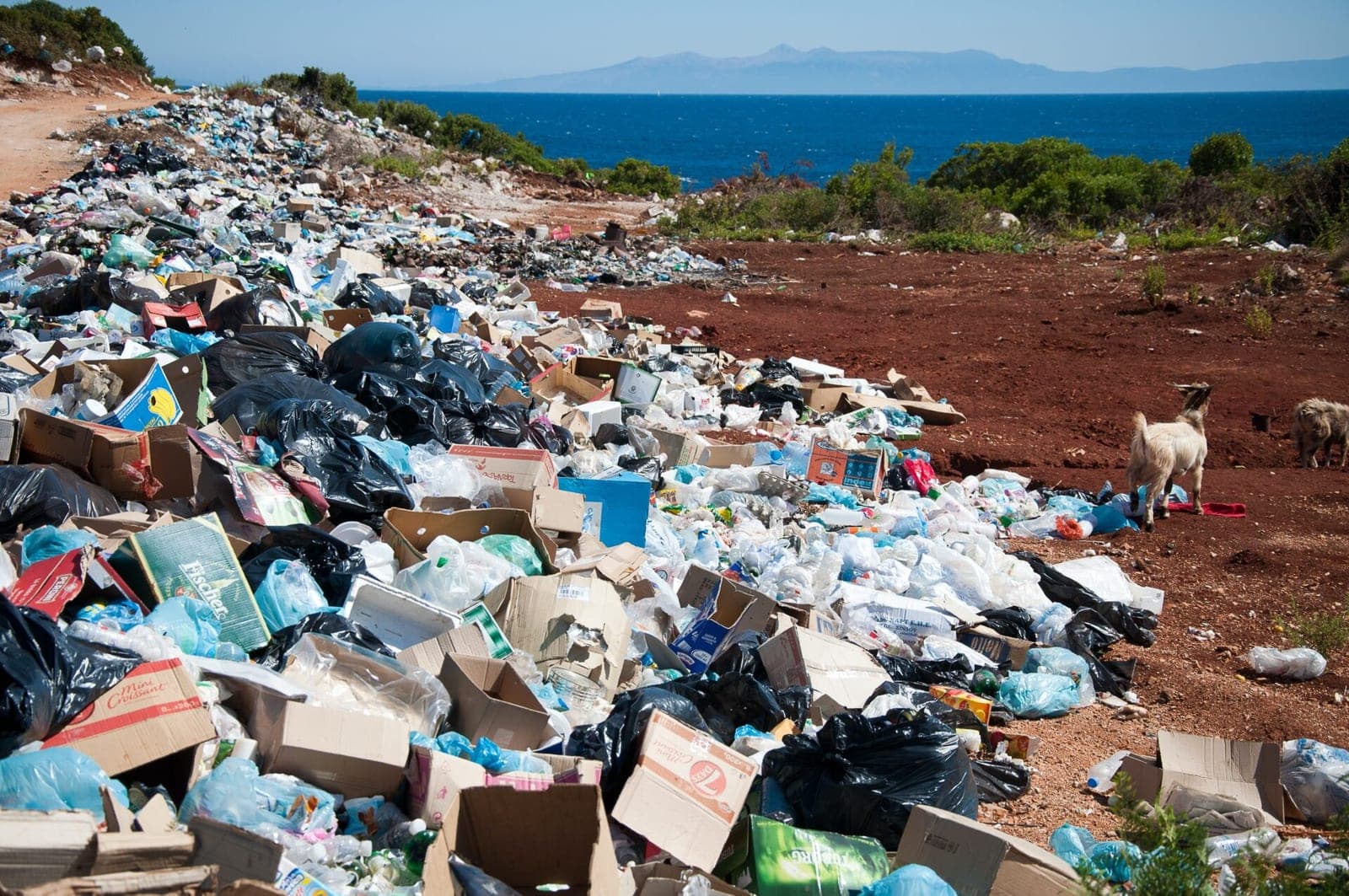Nauji „Zero Waste“ standartai ES ir pasauliui