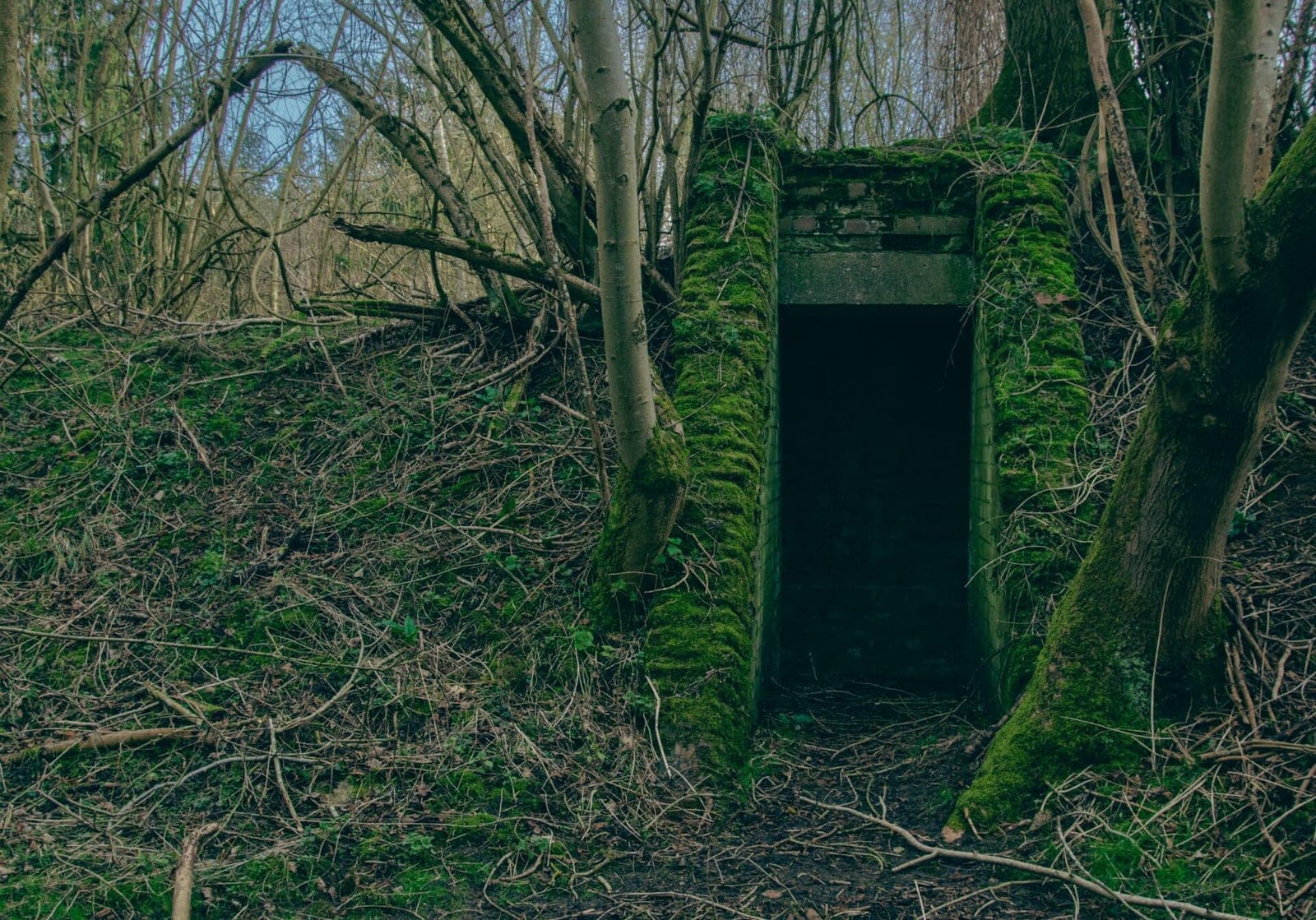 7 mažiau žinomi bunkeriai Baltijos jūros regione, kuriuos verta aplankyti