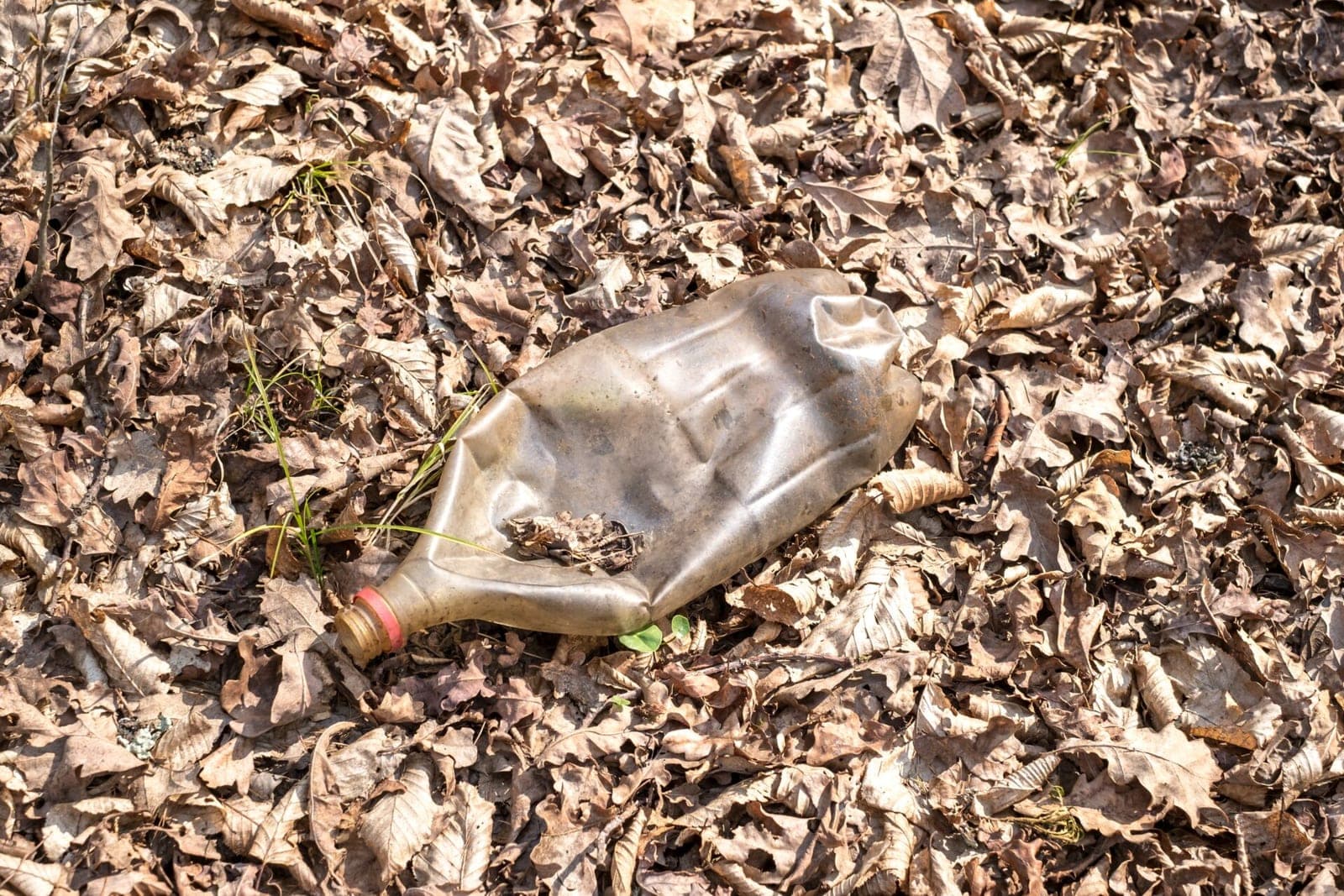 Miškų teršėjų taip ir nepažabojo – surenkamos tonos šiukšlių