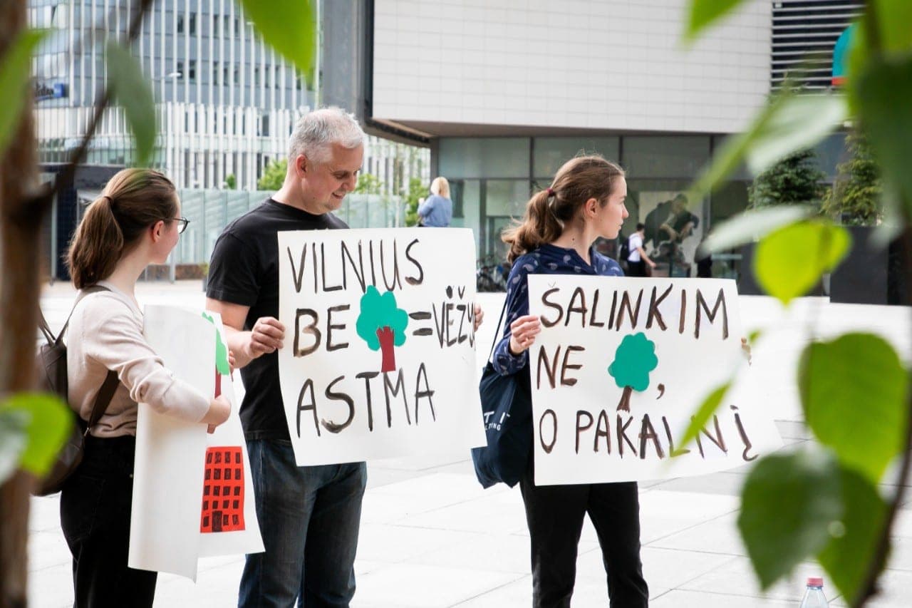 Kol „feisbukiniai” kovotojai „putojasi” dėl ąžuolo, ministerija užsimojo didinti miškų kirtimų plotus